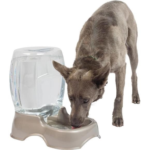 Petmate Pet Café Cat and Dog Waterer, Automatic Gravity  Pet Cafe Waterer Cat and Dog Water Dispenser, Pearl Tan, 1.5 GAL